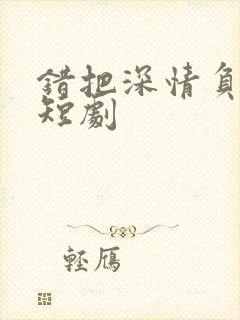 错把深情负流年短剧