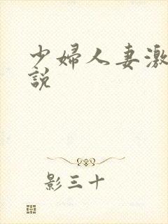 少妇人妻激情小说