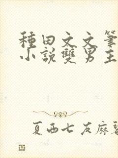 种田文文笔好的小说双男主