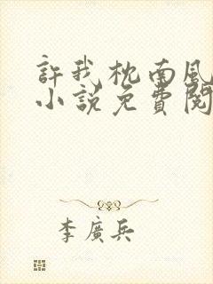 许我枕南风原著小说免费阅读