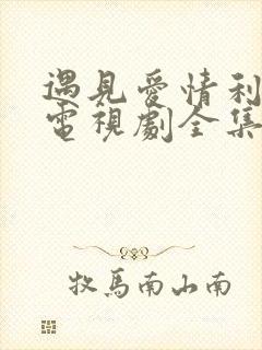 遇见爱情利先生电视剧全集