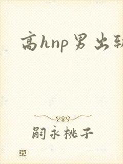 高hnp男出轨