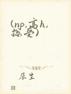 (np,高h,总受)
