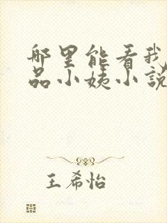 哪里能看我的极品小姨小说