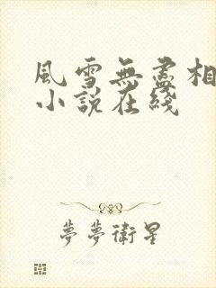 风雪无尽相思情小说在线