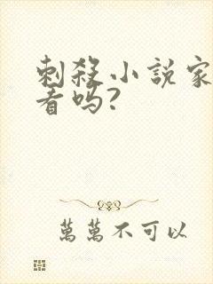 刺杀小说家2好看吗?