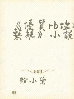 《优质rb攻略系统》小说