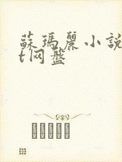 苏玛丽小说txt网盘