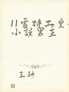 11处特工皇妃小说男主