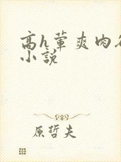 高h荤爽肉欲文小说