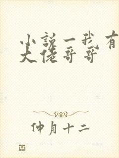 小说一我有七个大佬哥哥