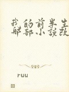 我的前半生根据哪部小说改编