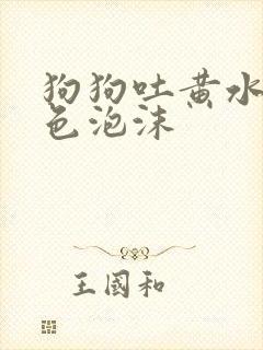 狗狗吐黄水带白色泡沫