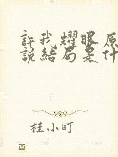 许我耀眼原著小说结局是什么