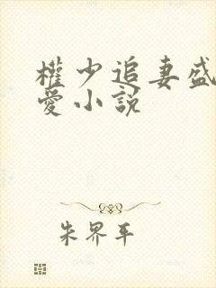 权少追妻盛婚秘爱小说