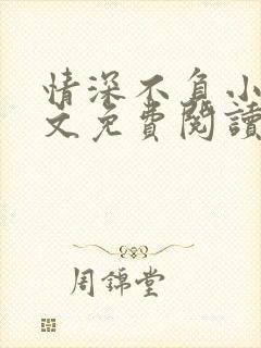 情深不负小说全文免费阅读