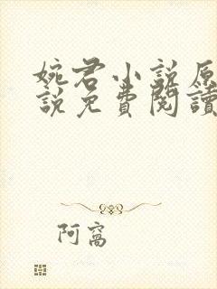 婉君小说原著小说免费阅读