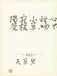 独宠小甜心:恶魔校草,吻不停