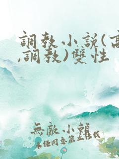 调教小说(高h,调教)双性