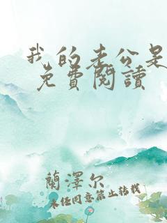 我的老公是大佬 免费阅读