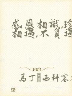 感恩相识,珍惜相遇,不负遇见