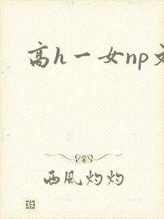 高h一女np文