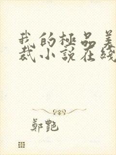 我的极品美女总裁小说在线收听