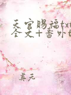 天官赐福txt全文+番外txt下载