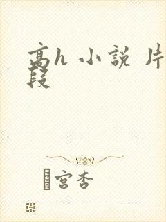 高h 小说 片段