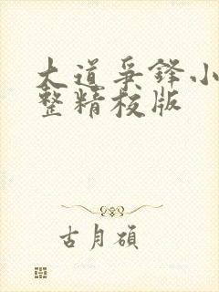 大道争锋小说完整精校版