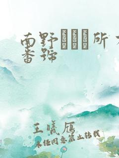 南野あかり所有番号