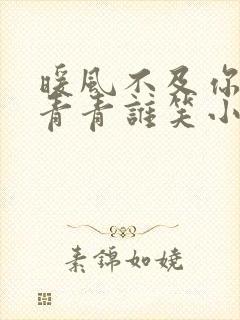 暖风不及你情深青青谁笑小说免费全文阅读