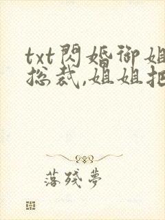 txt闪婚御姐总裁,姐姐把我宠上天下载