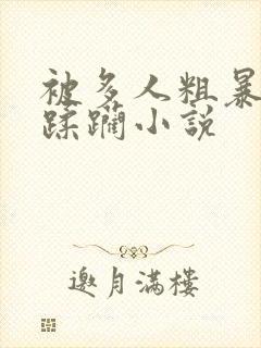 被多人粗暴进入蹂躏小说