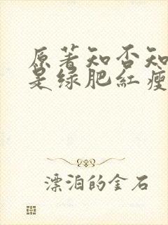 原著知否知否应是绿肥红瘦