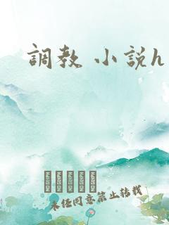 调教 小说h