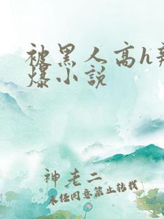 被黑人高h辣文爆小说