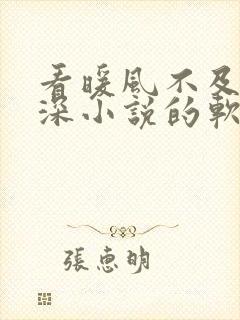 看暖风不及你情深小说的软件