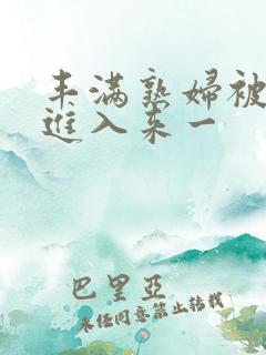 丰满熟妇被猛烈进入来一