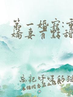 第一婚宠:重生娇妻有点甜