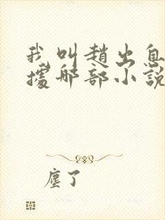 我叫赵出息是根据哪部小说改编的