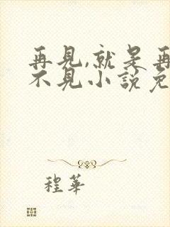 再见,就是再也不见小说免费阅读