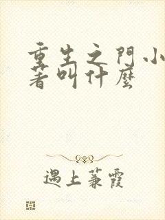 重生之门小说原著叫什么