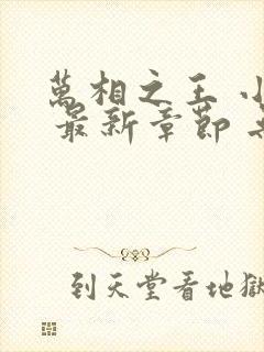 万相之王 小说 最新章节 无弹窗