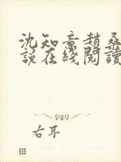 沈知意赵桑延小说在线阅读