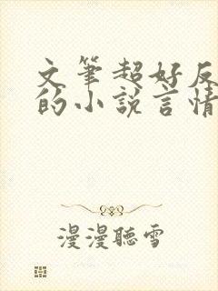 文笔超好反复看的小说言情