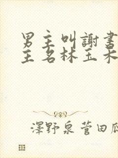 男主叫谢书淮女主名林玉禾的小说