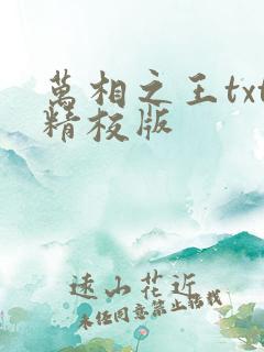万相之王txt精校版
