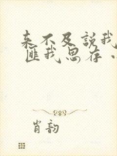 来不及说我爱你 匪我思存 小说