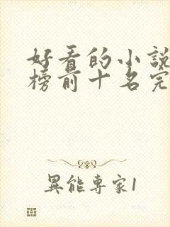 好看的小说排行榜前十名完结版